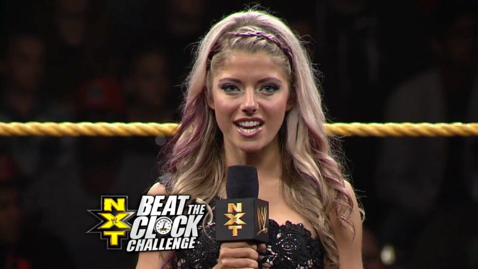 Top 5 hottest and most beautiful WWE ring announcers of all time